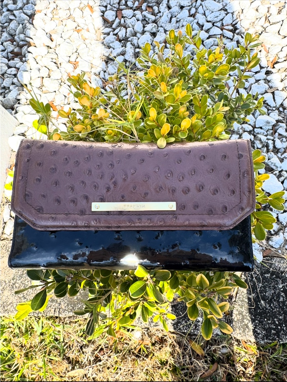 Brahmin Checkbook Papaya Abbot Wallet